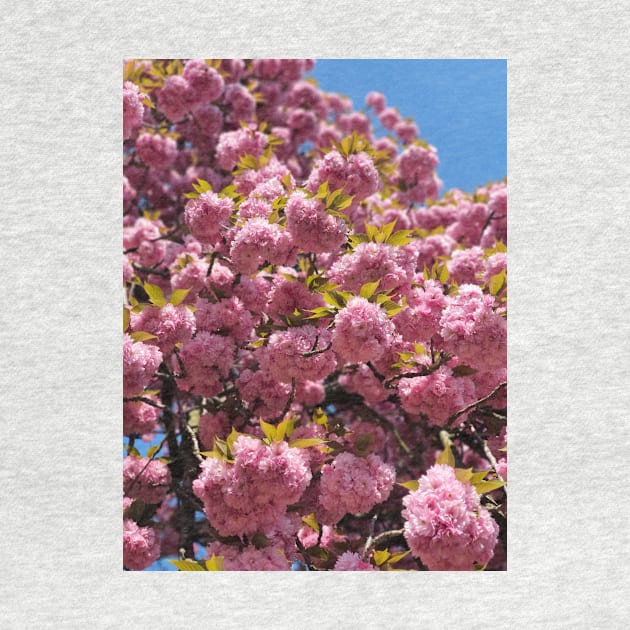 Flower tree | pink cherry blossom tree | Sakura tree by The Self Love Club